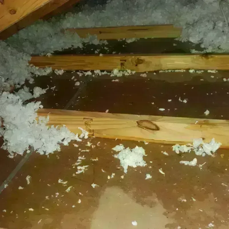 Attic Water Damage in Gardner, IL