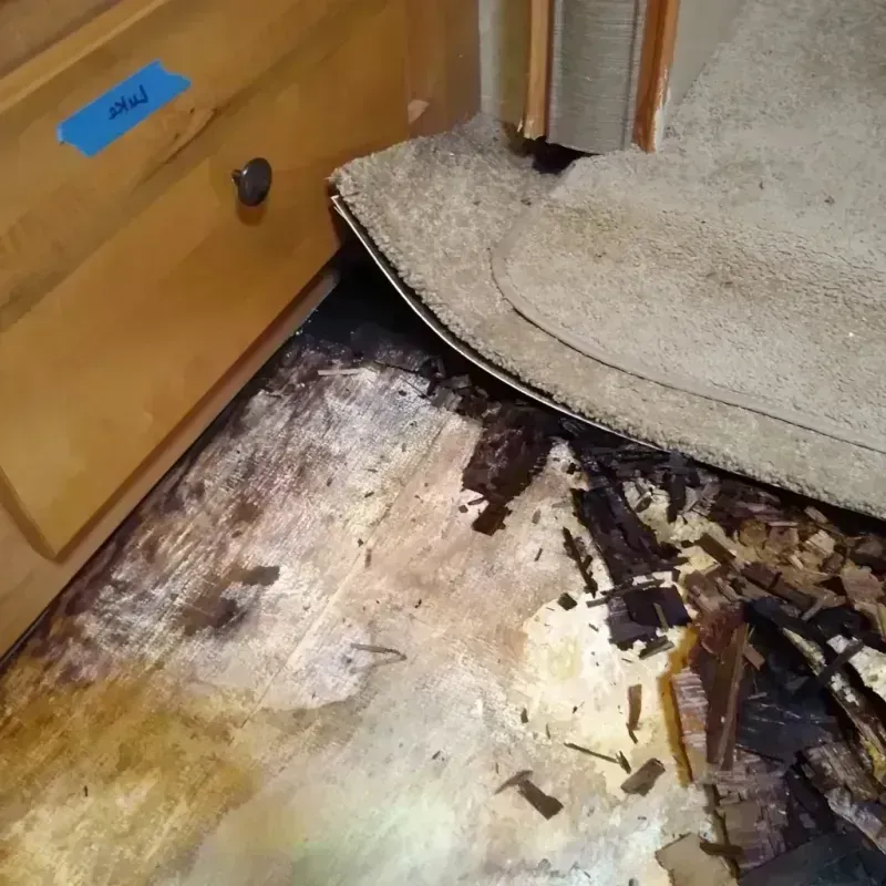 Wood Floor Water Damage in Gardner, IL